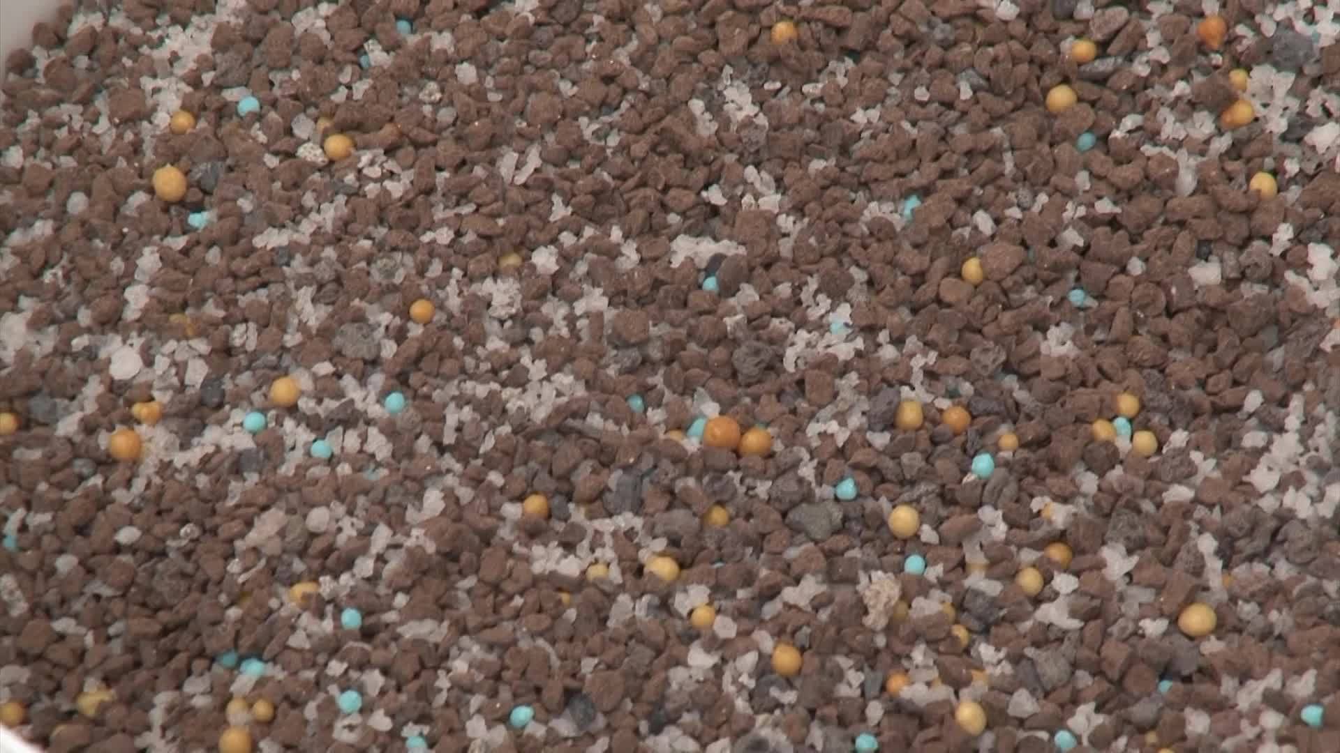 Maak Je Keuze In September