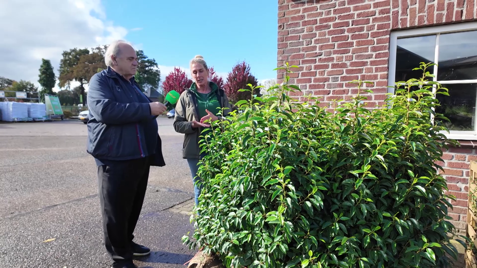 Groene Hagen In Oktober
