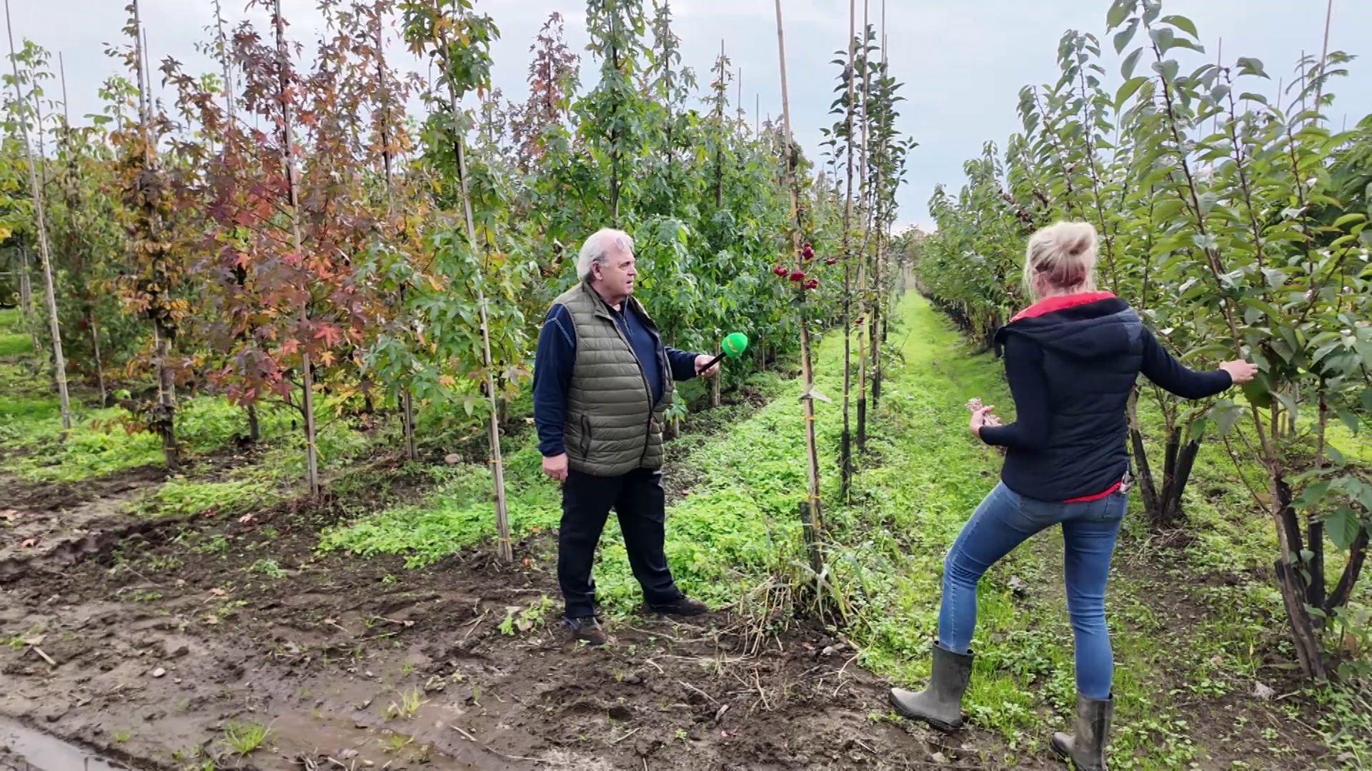 Herfst In De Kwekerie