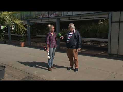 Bollen In De Pluktuin