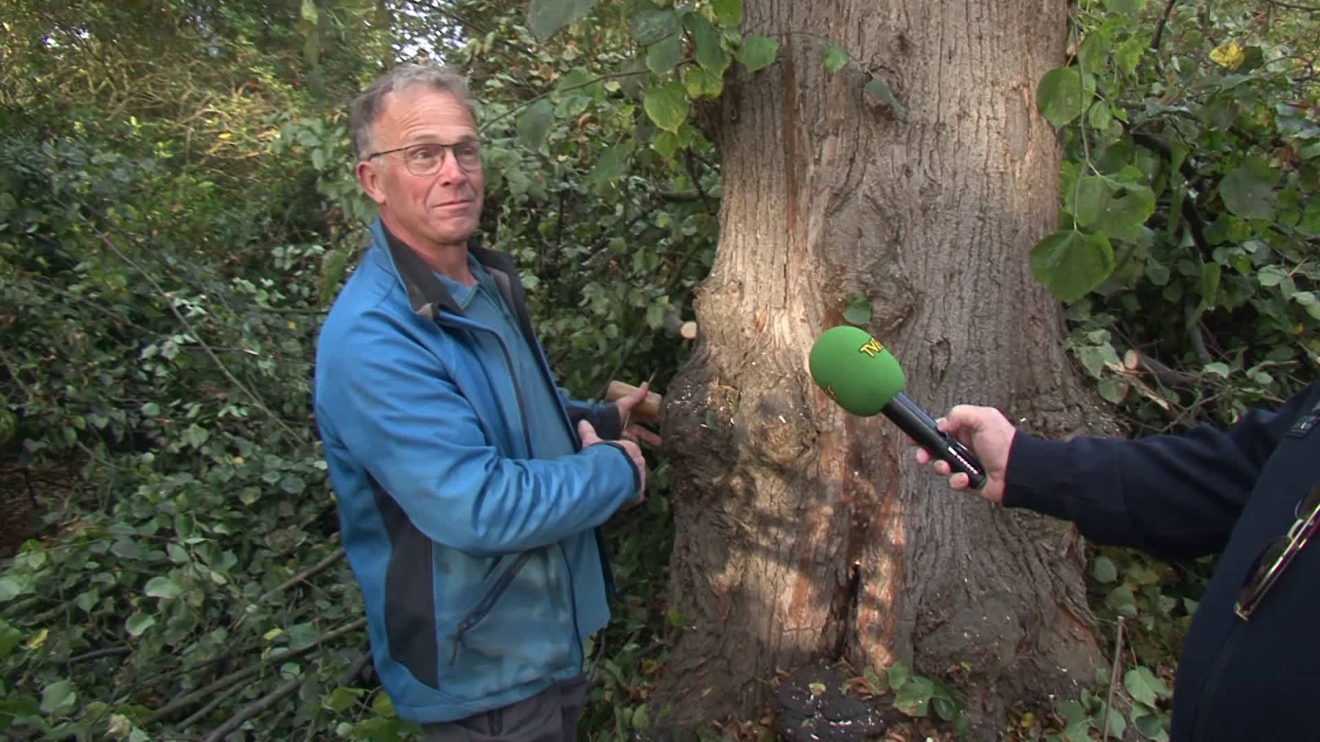 Zwammen bij Kasteeltje Hattem