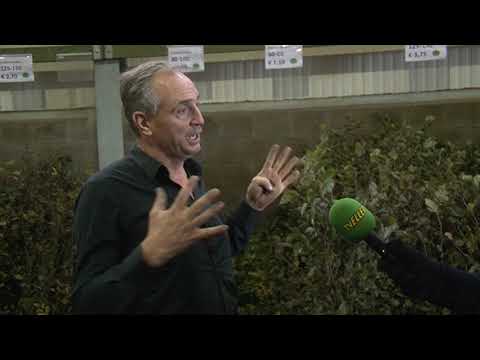 Topdrukte in November