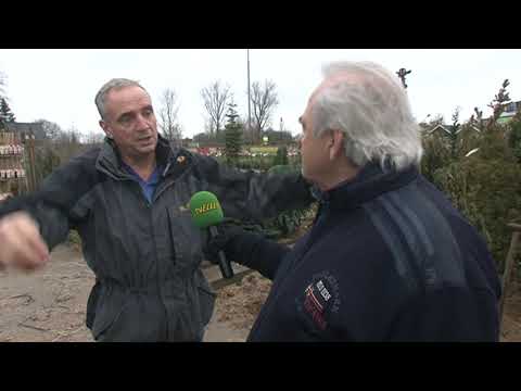 Fruit Uit Eigen Tuin