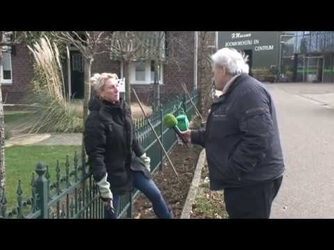 Snoeien Na De Winter