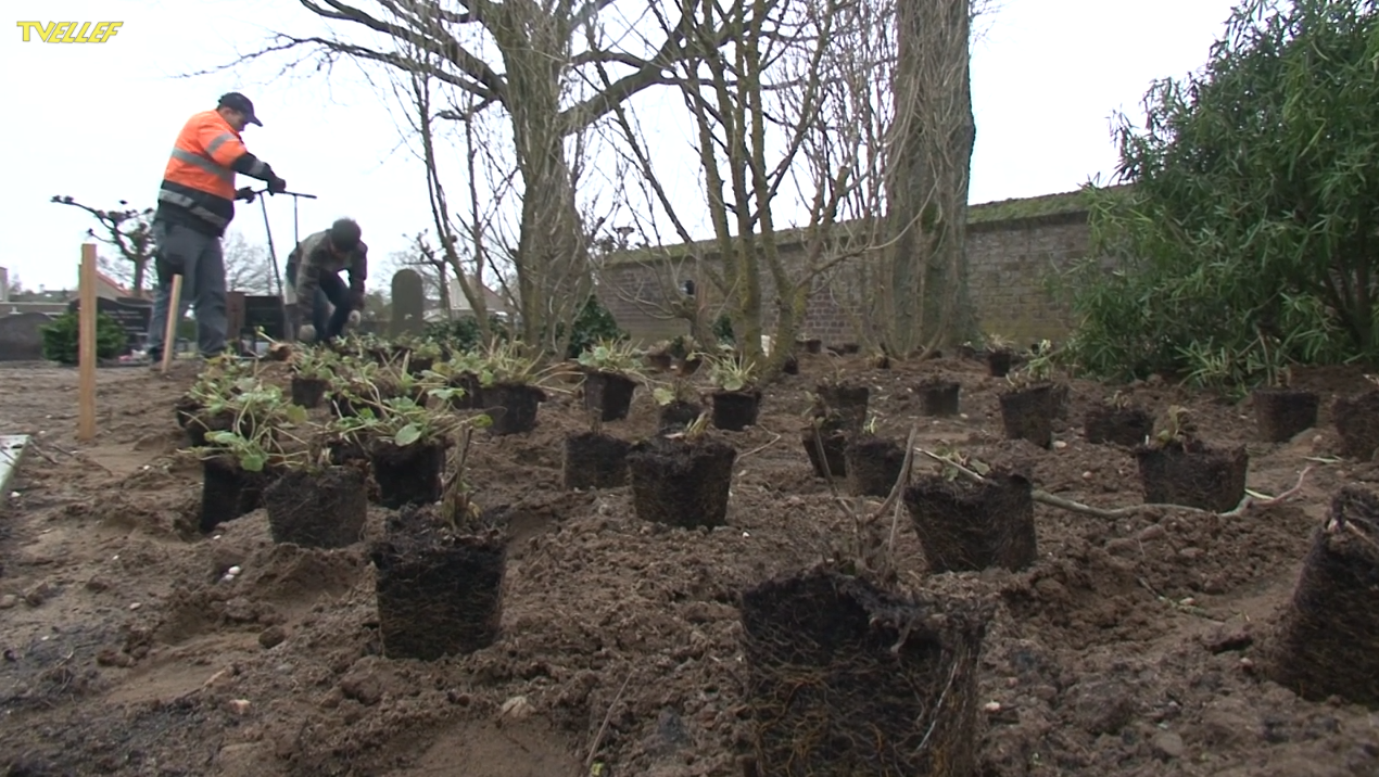 Het Kerkhof Project 2