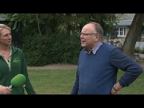 Aanpaote Is Ook Een Kunst