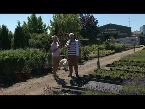 Snoeien Doet Groeien