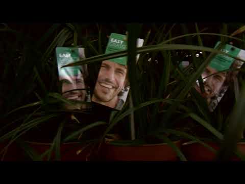 Meer Blauw In De Tuin