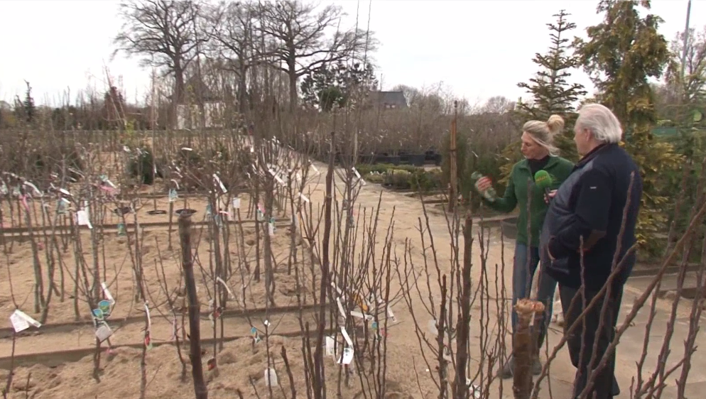 Fruit Nu Het Nog Kan