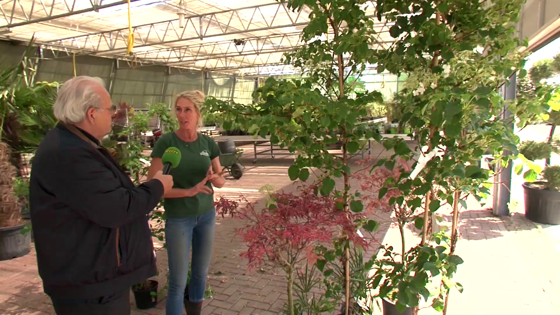 Lang Profijt Van De Hortensias